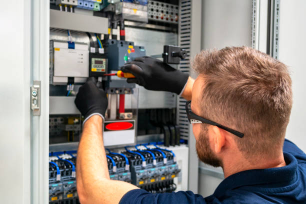 Best Ceiling Fan Installation Electrician  in Lakeview, MI