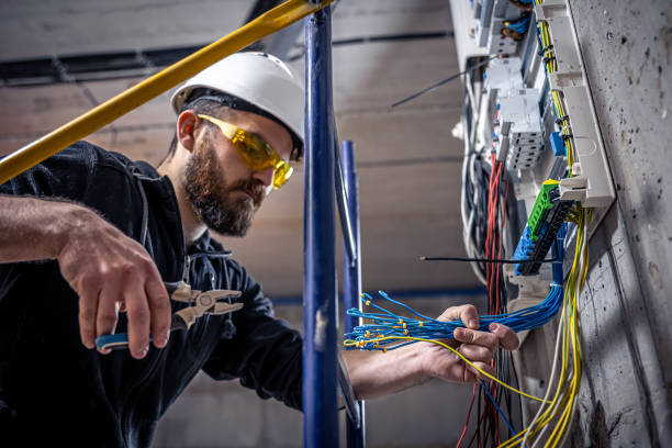Best Electrical Repair Services  in Lakeview, MI