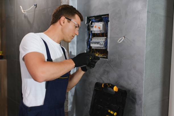 Best Local Electrician Companies  in Lakeview, MI