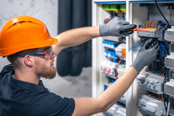 Best Electrical System Inspection  in Lakeview, MI